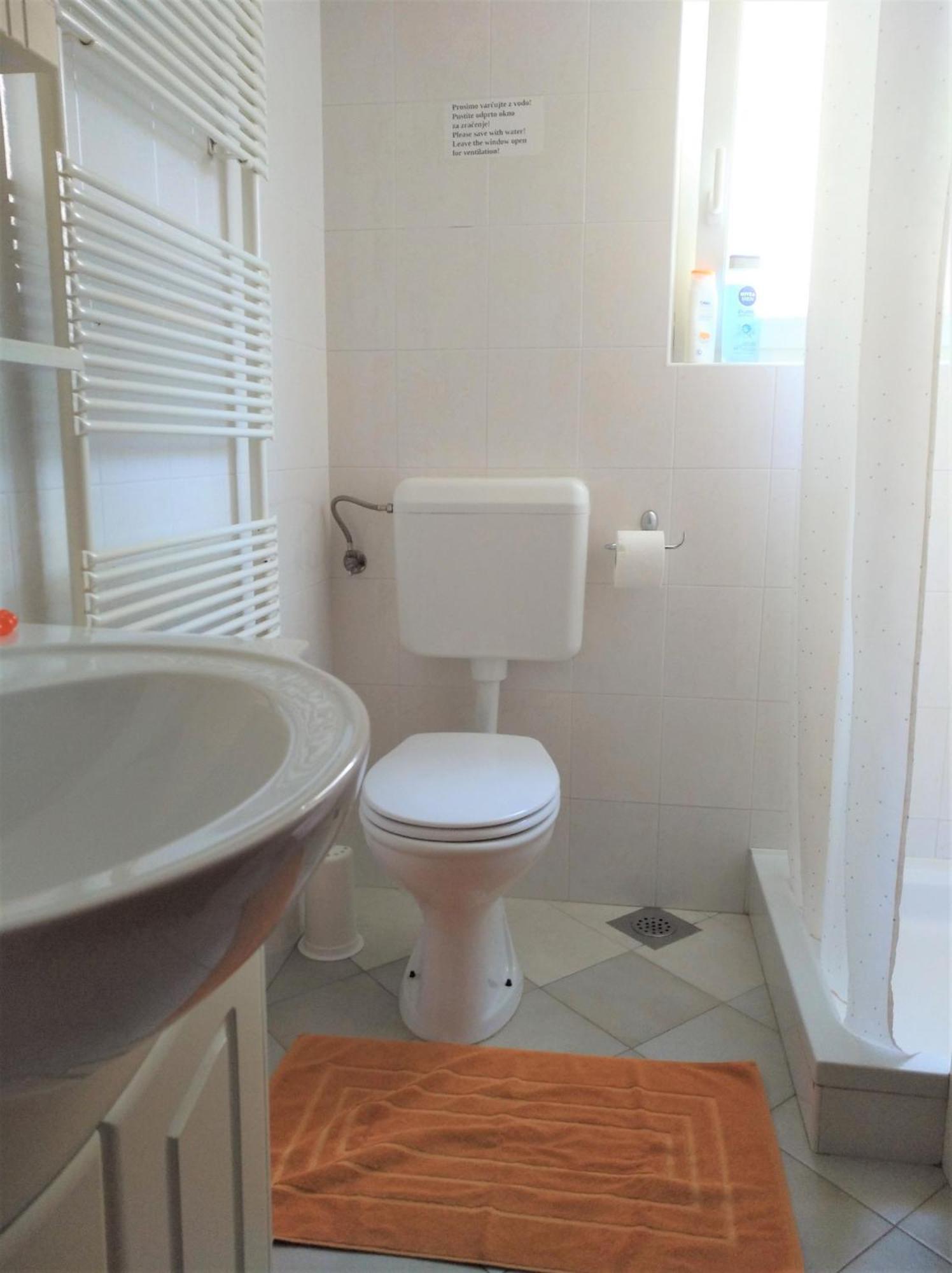 טולמין Apartma Gorjan מראה חיצוני תמונה